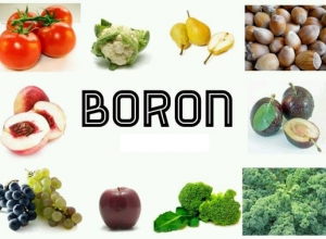 Boron và 12 công dụng tuyệt vời từ boron